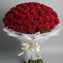 Букет 101 Красная роза Блэк Мэджик в Верх-Туле