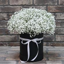 Цветочная композиция из Гипсофила в шляпной коробке #REPLACE_PRED# Верх-Туле