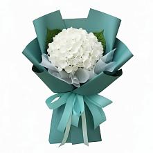 Букет цветов из:  Гортензия #REPLACE_PRED# Верх-Туле